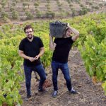 Bodegas Frontonio: Single Parcel Wines