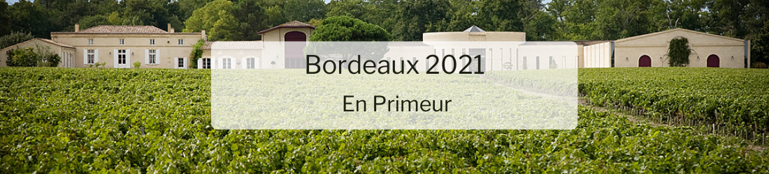 Burgundy 2020 En Primeur (77)