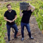 New Single Parcel Wines from Bodegas Frontonio