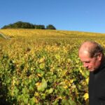 2020 Releases from Domaine Laurent Tribut