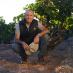 Bodegas Mustiguillo joins the Bancroft Wines Portfolio