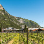 Cantina Toblino joins the Bancroft Wines Portfolio
