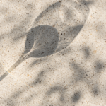 Bancroft Wines Spring + Summer Edit 2025