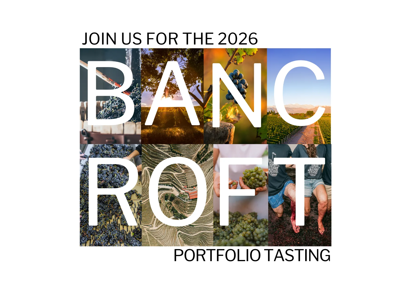 Bancroft Portfolio Tasting 2026