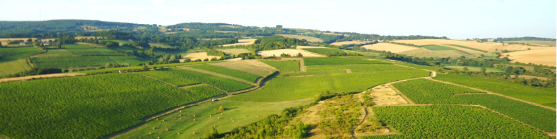 Domaine Pellé Domaine Pellé