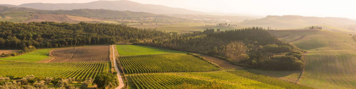 Tenuta di Bibbiano