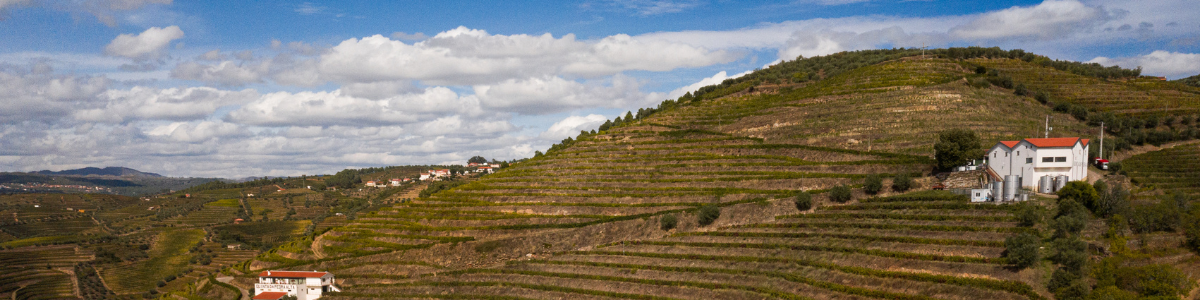 Quinta da Pedra Alta