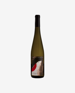 Riesling Muenchberg Grand Cru, Domaine Andre Ostertag 2017 1