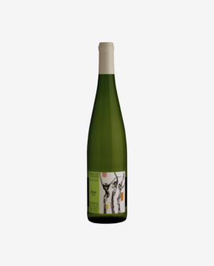 Riesling Les Jardins, Domaine Ostertag 2018 1