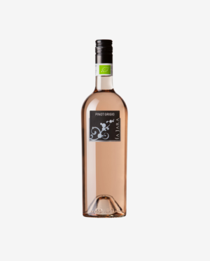 Pinot Grigio Rosato, La Jara 2019 1