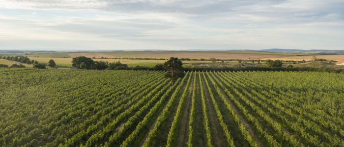 DJI_0920 DJI_0920