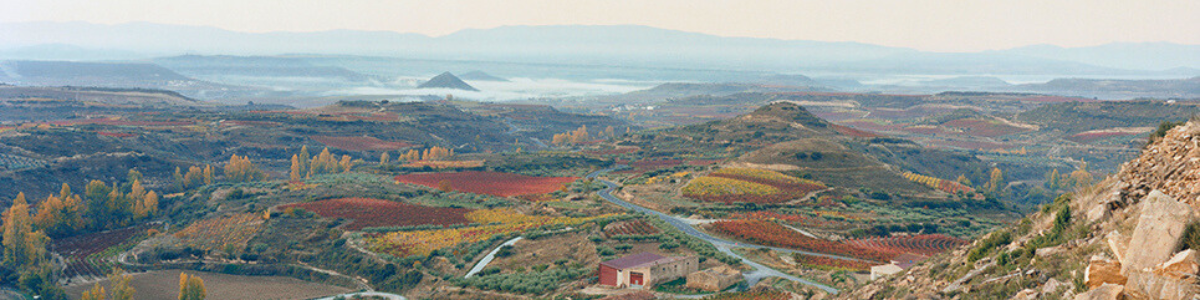 Producer Banner Pic_large (24) Producer Banner Pic_large (24)