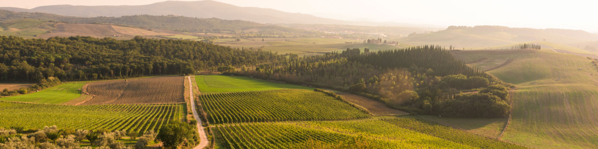 tenuta tenuta